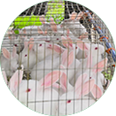 ������Ϸ��(�й���)�ٷ���վ -APP����