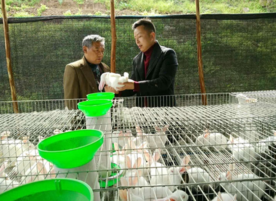 ������Ϸ��(�й���)�ٷ���վ -APP����