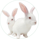 ������Ϸ��(�й���)�ٷ���վ -APP����