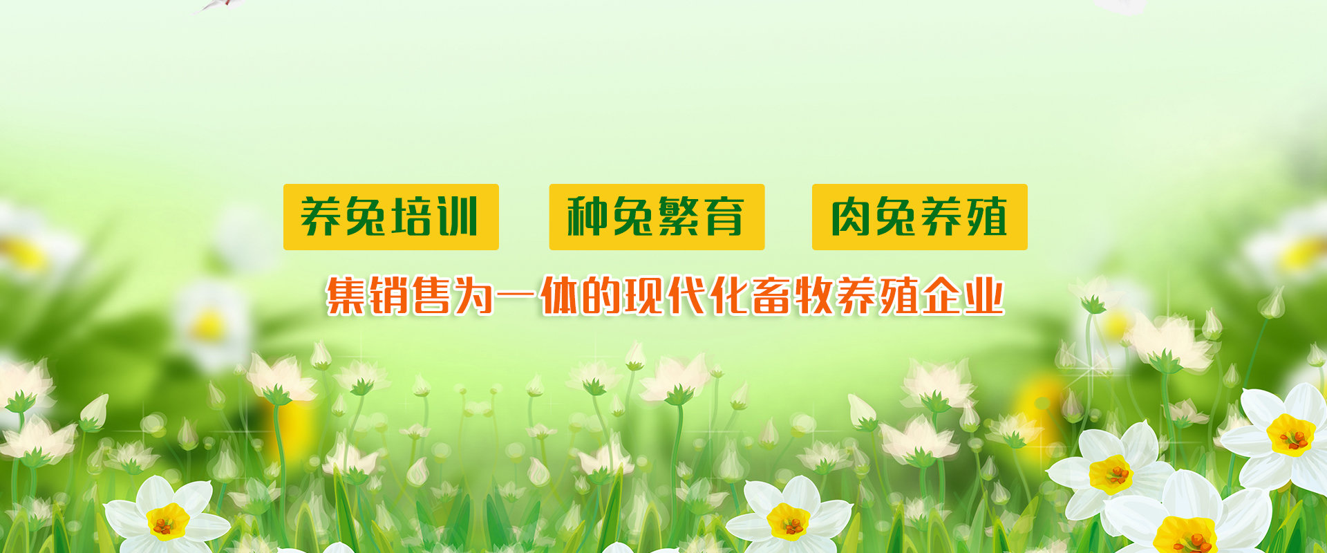 ������ֳ